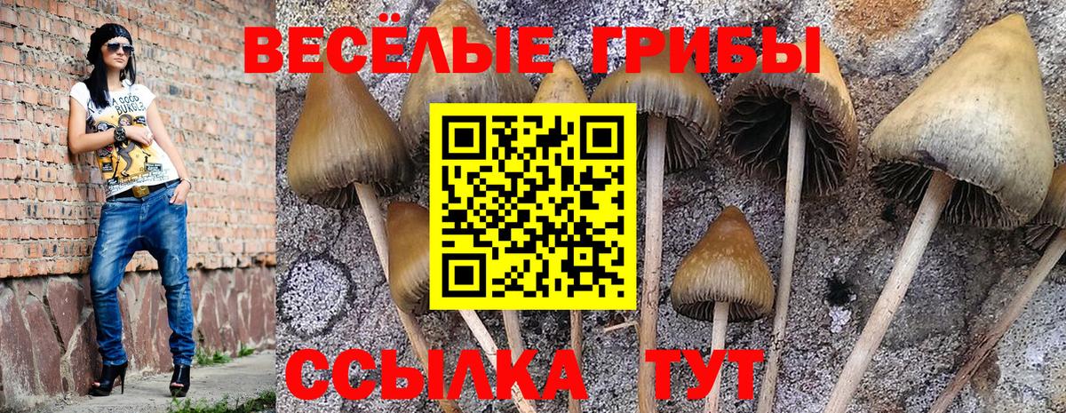 Коммунар  Галлюциногенные грибы мицелий  Вход с VPN 